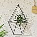 1 PCS Rustic Wall Mount Hanging Irregular Pentagon Geometric Metal Tillandsia Air Plants Holder Rack Black Wall Accent Decor (Black)