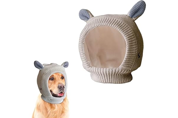 dog hats canada