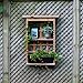 Algreen 34003 Garden View, Vertical Living Wall Planter and Decorative Shelving Unitthumb 1