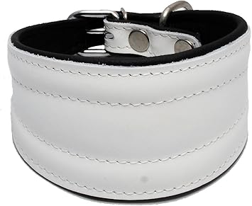 lurcher collars amazon