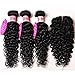 Younsolo Brazilian Water Wave 3 Bundles with Closure Water Wave Hair Bundles with Closure 9A Unprocessed Virgin Human Hair Curly Water Wave Human Hair Extensions(8 10 12+8, Jet Black)