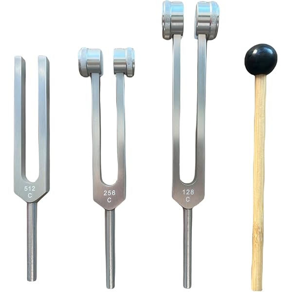 Amazon.com: Tuning Forks for Sound Therapy (128Hz, 256Hz, 512Hz