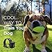 Bark Buddy Platinum Plus Rechargeable NO-BARK Training System (BB7R) w/downloadable Free Exclusive Training Videos by Renowned Trainer Phillip Paris