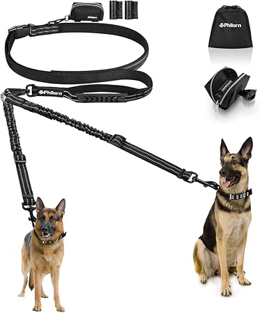 no hands dog leash