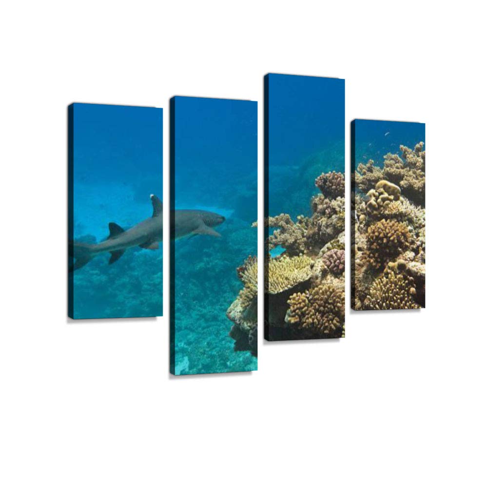 Whitetip Shark (Triaenodon Obesus) Great Barrier Reef Austr Canvas Wall Art Hanging Paintings Modern Artwork Abstract Picture Prints Home Decoration Gift Unique Designed Framed 4 Panel