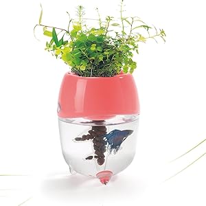 Dr. Moss Aquaponic Fish Tank Aquarium for Betta Fish with Water Garden Planter Top Lid Natural Ecosystem for Plant Growth (Pink)