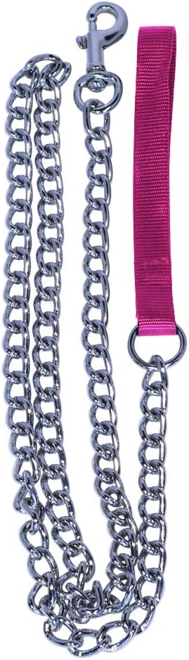 Pet Champion 5ft Chain Leash with Nylon Handle Easy Lead No Pull, Assorted Colors : Pet Supplies