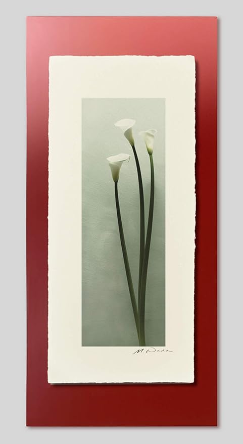 Amazon Co Jp Igrebow インテリアフォト 写真 花 カラー 手漉き和紙 越前塗板額 赤 オリジナルプリント アート インテリア 壁掛け 壁飾り 額装 額 おしゃれ フォト インテリアアート アートフレーム ウォールアート プレゼント 新築祝い ホーム キッチン