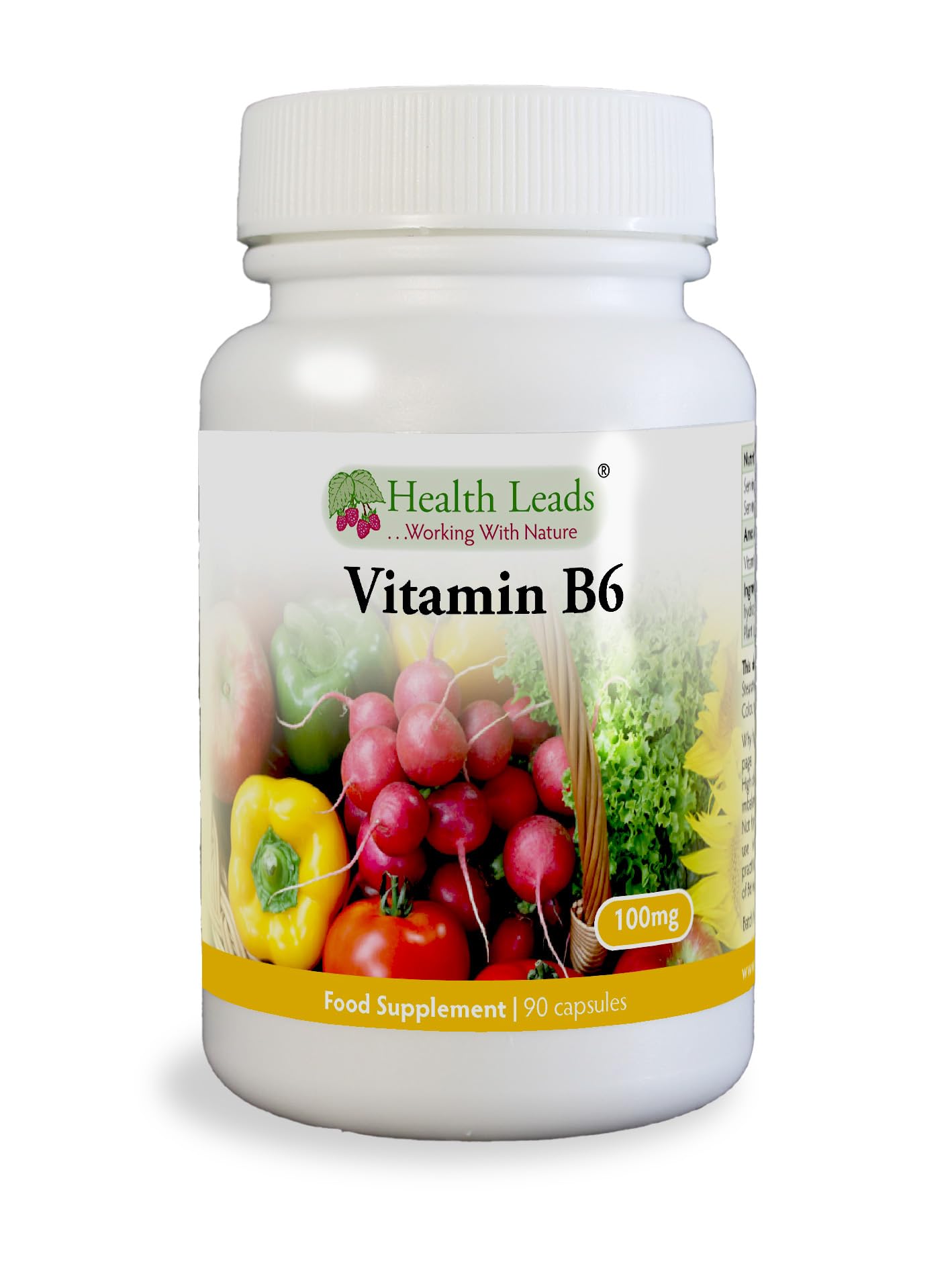 Vitamin B6 (Pyridoxine) 100mg x 90 Capsules - Magnesium Stearate Free!