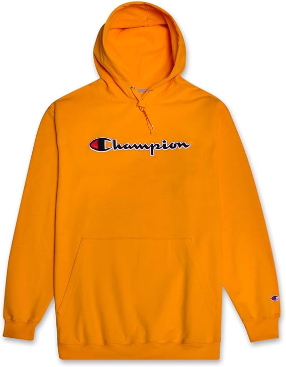 champion teddy bear hoodie