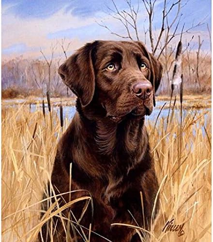 black lab diamond painting
