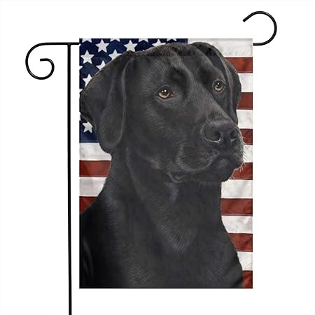 labrador decorative items