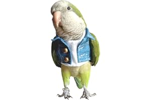 BARN ELEVEN Bird Costume Bird Diaper Flight Suit Bird Jeans Fake Two Pieces Bird Clothes Cosplay Photo Prop for Parrots Lovebird Parakeet Cockatiel Small Animals Apparel (Without Diaper,Budgie)