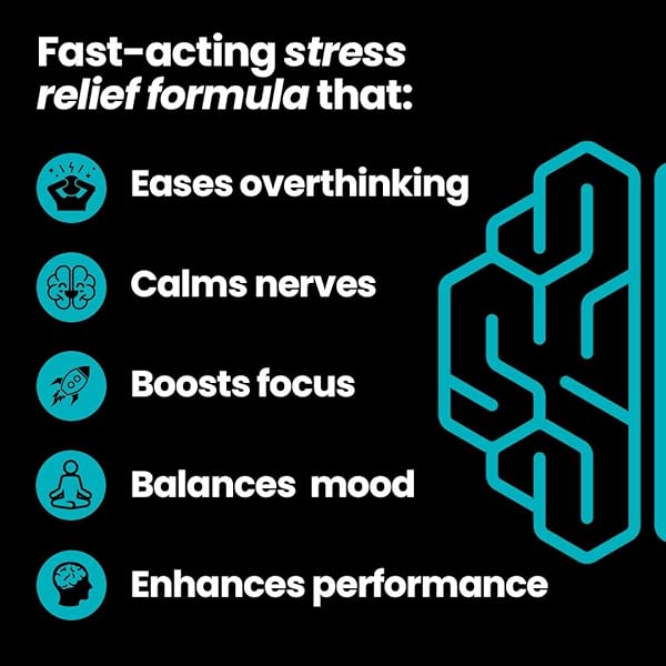 LIFESEASONS NEUROQ CALM THINKING GUMMIES – RELAXATION SUPPORT, CALM & FOCUS – WITH SENSORIL ASHWAGANDHA, GABA, L-THEANINE, LEMON BALM & CHAMOMILE – 30 DAY SUPPLY / 90 GUMMIES