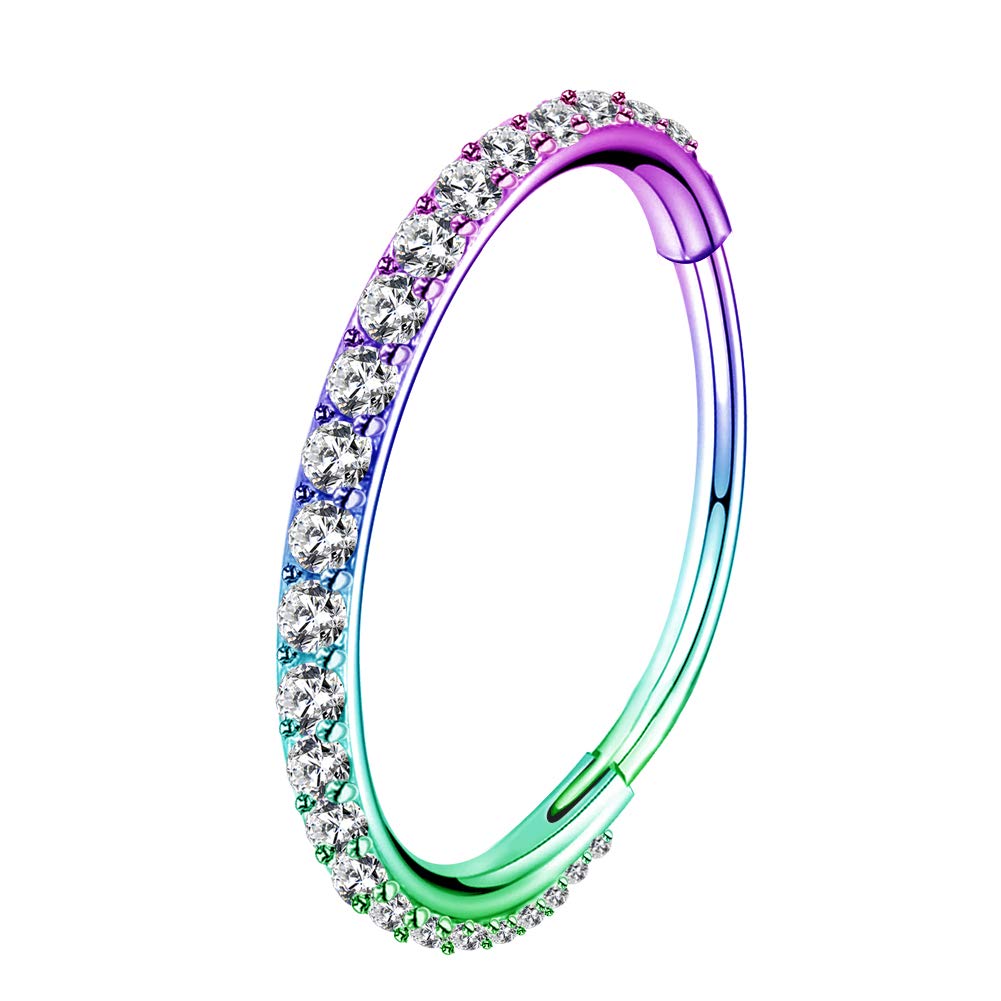 OUFER 18G 20G Nose Ring Hoops Hinged Seamless Segment Helix Piercings Nostril Clicker 316L Stainless Steel CZ Line Daith Tragus Cartilage Earring Jewellery