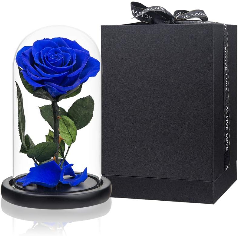 Dried & Preserved Flora - Preserved Rose Blue Real Rose in Glass Dome, Roses Never Withered Flower Gifts for Her, Valentine's Day, Mother's Day, Birthday, Christmas Medium