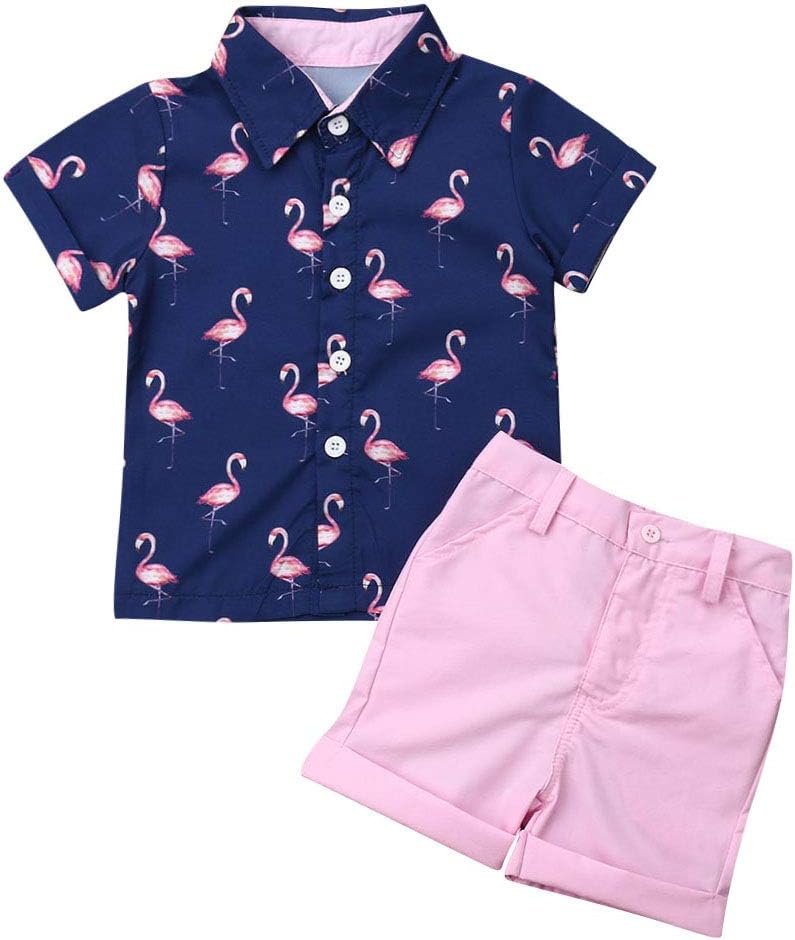 Harvest8 Toddler Kids Boy Short Sleeve Flamingo Print Button Shirt Tops + Shorts Pants 2Pcs Summer Outfits Set