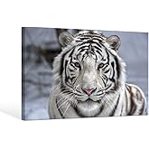 SEVEN WALL ARTS White Tiger Canvas Wall Art Bengal Tiger Picture Print Winter Wild Animal Poster Painting for Living Room Bedroom Home Office Decor 36x24 Inch