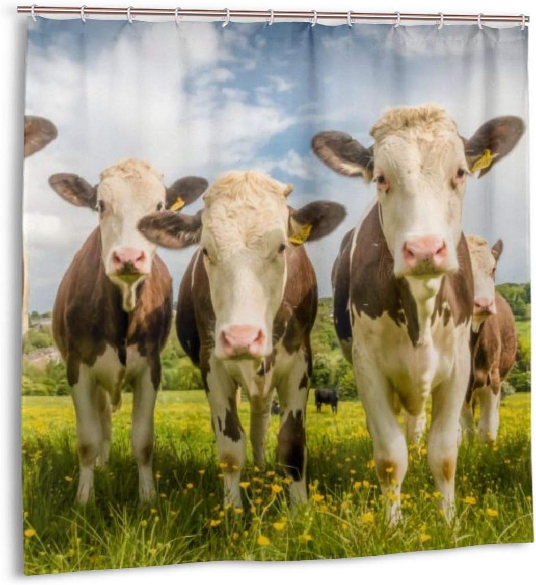 kslae Shower Curtain,Red and White Spotted Cows in A Row Looking Into The Camera and Standing Bath Curtain Set with Hooks
