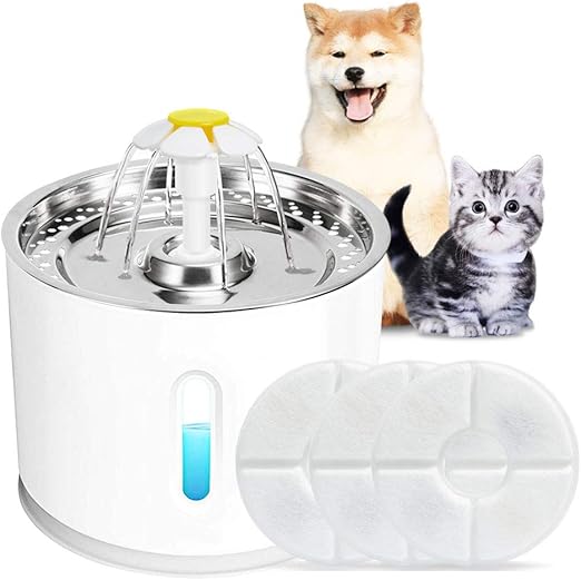 cat dog water fountain