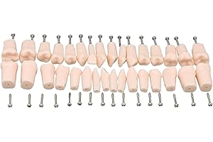 SEUJJRO 32pcs Removable Typodont Teeth for Typodont Teeth Model Compatible With Kilgore Nissin Dental Practice and Teaching (32pcs teeth)