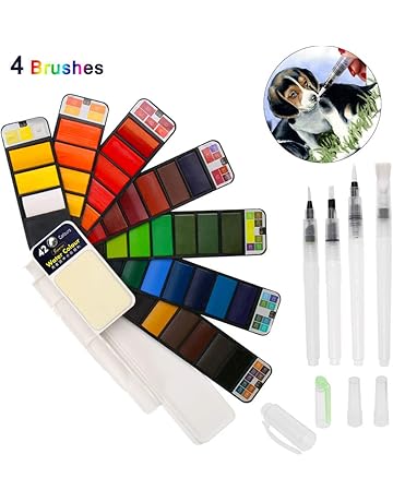 BBLIKE Acuarelas, Set de pintura de acuarela sólida,42 colores caja de almacenamiento del sector con 4 pincel de pintura de agua Pigmento de acuarelas portatiles para artículos de arte