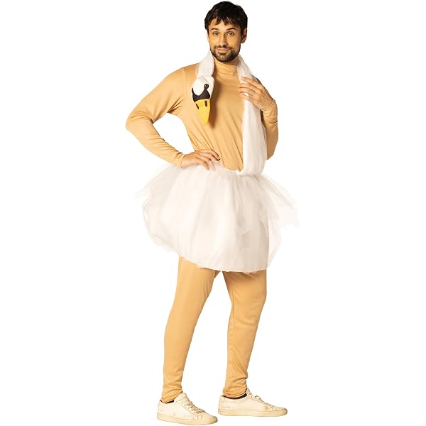Amazon.com: Fun Costumes Adult Deluxe Elegant Swan Costume, White Bird  Tunic Outfit Large : Clothing, Shoes & Jewelry