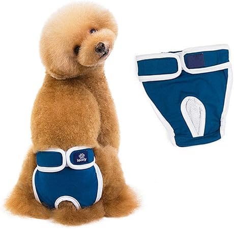 dog nappies uk