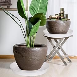 Bleuhome 4 Pack of 17 inch Plant Saucer, 2.3" Depth