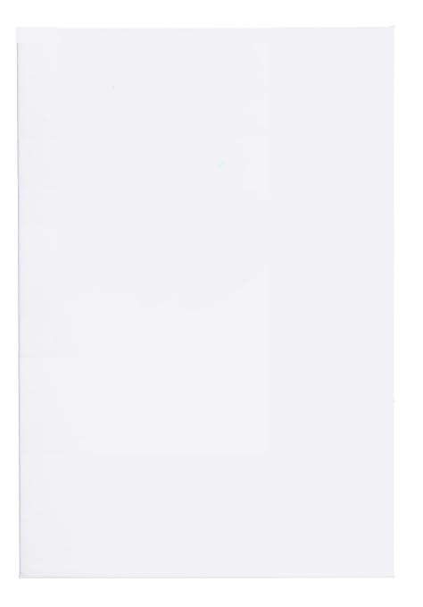 Lefranc & Bourgeois Malpappen, 100% Baumwolle, Universalgrundierung mit doppelten Gesso - 50 x 70cm