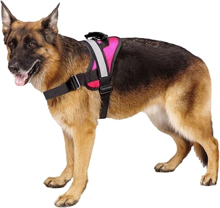 pink harness for large dogs
