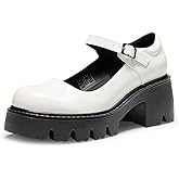 DREAM PAIRS Women's Mary Janes Shoes Platform Dress Low Heel Chunky Pumps Round Toe Ankle Strap Pumps Shoes Oxfords Esther