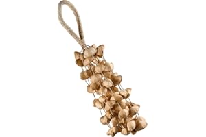 Meinl Sonic Energy Seed Shell Shaker Percussion Instrument — Nature Sounds for Meditation, ASMR, Sound Therapy, Yoga