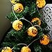 Finether 6.9 ft Battery Powered 10 LED Spider Patterned Round Paper Lantern String Lights for Halloween, Christmas Party, Patio, Garden, Yellow
