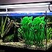 MyLifeUNIT Plastic Fish Tank Plants, Artificial Tall Aquarium Plants for Fish Tank Decor, 15.75 Inches (Pack of 2)thumb 4