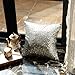 Kevin Textile Sequins Decorative Euro Throw Pillow Cover Sham 18 x 18 Christmas Pillow Case Cushion Cover,Hidden Zipper Design,1 Pack (Silver)