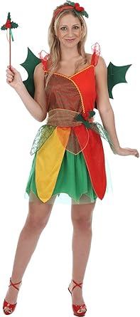 fairy fancy dress womens