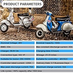 BtrPower 48V Ebike Battery 48V 18AH LiFePO4 Battery
