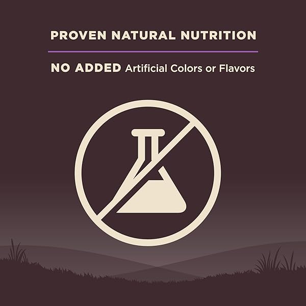 WELLNESS CORE AGE ADVANTAGE SENIOR DRY DOG FOOD, GRAIN FREE KIBBLE, NATURAL, HIGH PROTEIN, TURKEY AND CHICKEN RECIPE, 4 LB BAG