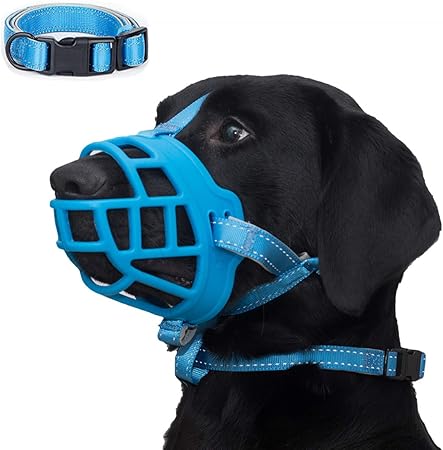 muzzle training for biting