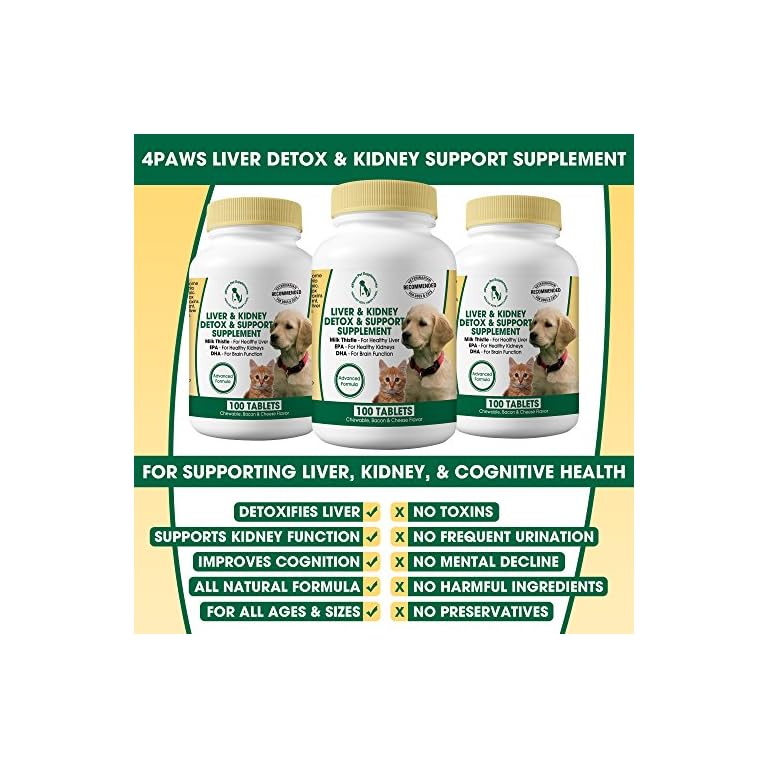 Milk Thistle Liver & Kidney Supplement for DOGS and CATS with DHA, EPA