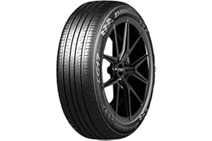 LANDGOLDEN LG17 Performance Radial Tire - 195/65R15 91V
