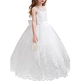 ABAO SISTER Flower Girl Dress Embroidery Tulle Lace for Kid Bridesmaid Birthday Party Communion Formal Princess Bow Ball Gown