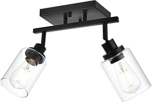 Wanluce 2-Light Track Lighting Kit Black Track Lighting Fixtures Bathroom Wall Sconces Ceiling Mount Kitchen Tracking Lights, Rotatable Spotlight with Clear Glass Shade for Kitchen Shop Hallway