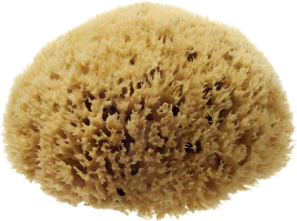 Hydrea London Natural Sea Sponge 4-4.5"- Premium Mediterranean Honeycomb Unbleached Natural Sponge for Adults Women