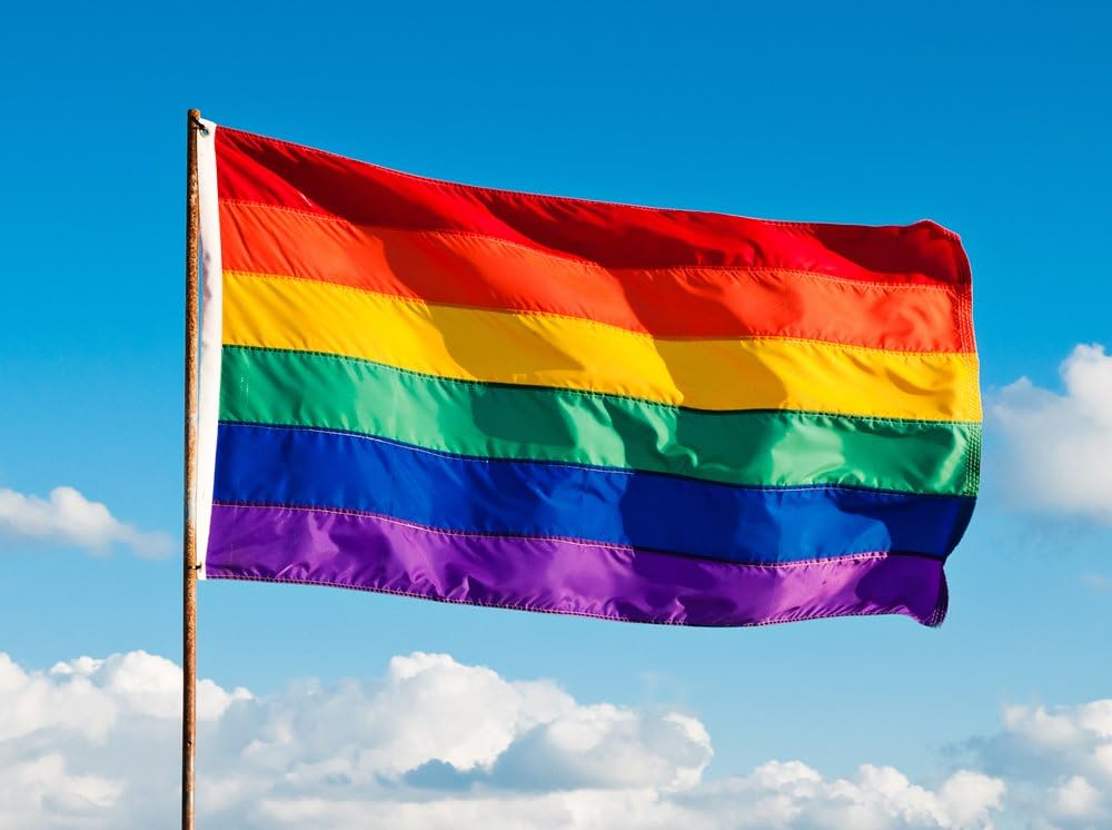Federal Flags 3x5ft Gay Pride Flag/Rainbow Flag - 100% Made in USA - Featuring Individually Sewn Stripes, Rich Color and Superior Fade & fray Resistance