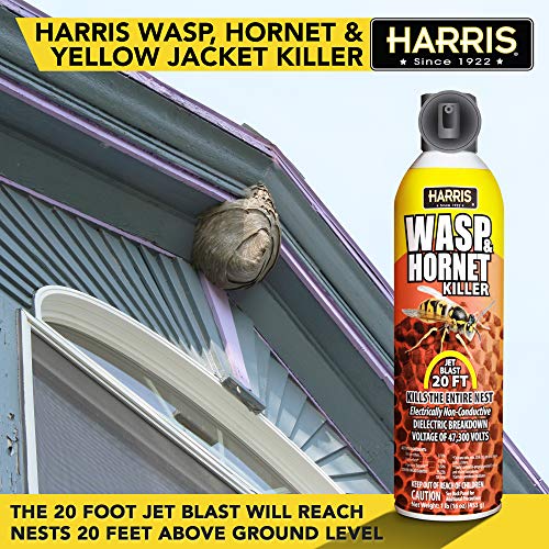 HARRIS Wasp, Yellow Jacket and Bee Killer Spray, 20 Foot Stream