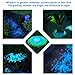 Lovebay 220pcs Glow in the Dark Garden Pebbles Glow Stones Rocks for Walkways Garden Path Patio Lawn Garden Yard Decor, Luminous Decorative Stones for Aquarium Fish Tank in Blue & Green & white