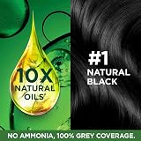 Garnier Color Naturals Regular Natural Black Hair Dye view 4