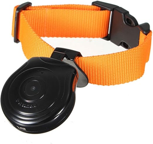 dog jumper with harness hole